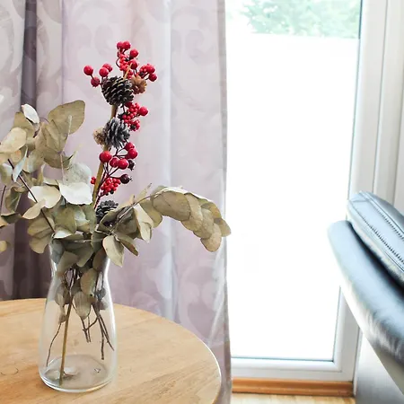 Nova Solis I Bright Escape Near Cologne I 100 Sqm And Large Terrace